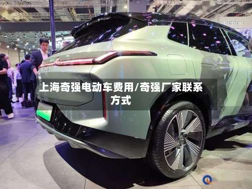 上海奇强电动车费用/奇强厂家联系方式