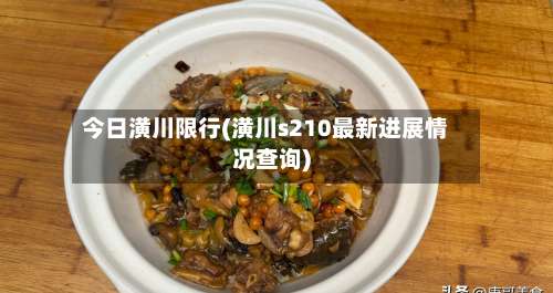 今日潢川限行(潢川s210最新进展情况查询)-第2张图片