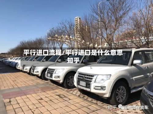 平行进口流程/平行进口是什么意思知乎-第3张图片