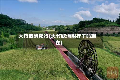 大竹取消限行(大竹取消限行了吗现在)