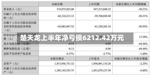 楚天龙上半年净亏损6212.42万元-第1张图片