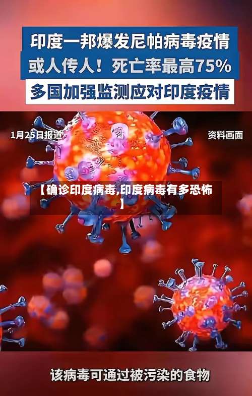 【确诊印度病毒,印度病毒有多恐怖】-第2张图片