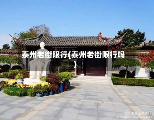 泰州老街限行(泰州老街限行吗)