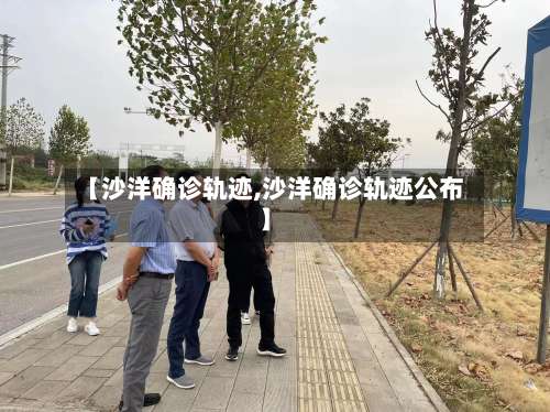 【沙洋确诊轨迹,沙洋确诊轨迹公布】