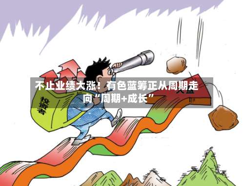 不止业绩大涨！有色蓝筹正从周期走向“周期+成长”-第2张图片