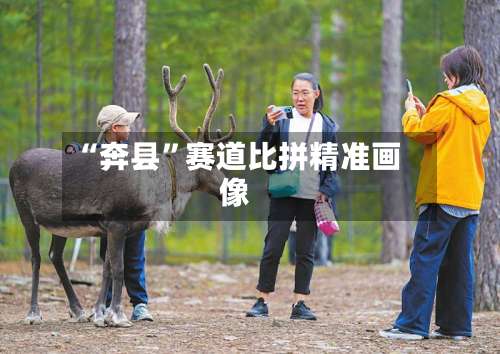 “奔县	”赛道比拼精准画像-第2张图片