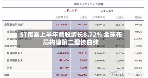 ST诺泰上半年营收增长8.72% 全球布局构建第二增长曲线-第2张图片