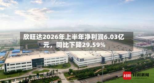 欣旺达2026年上半年净利润6.03亿元，同比下降29.59%-第3张图片