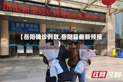 【岳阳确诊例数,岳阳县最新预报】-第2张图片