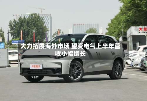 大力拓展海外市场 望变电气上半年营收小幅增长-第1张图片