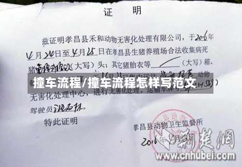撞车流程/撞车流程怎样写范文-第2张图片