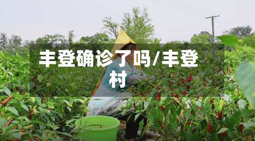 丰登确诊了吗/丰登村