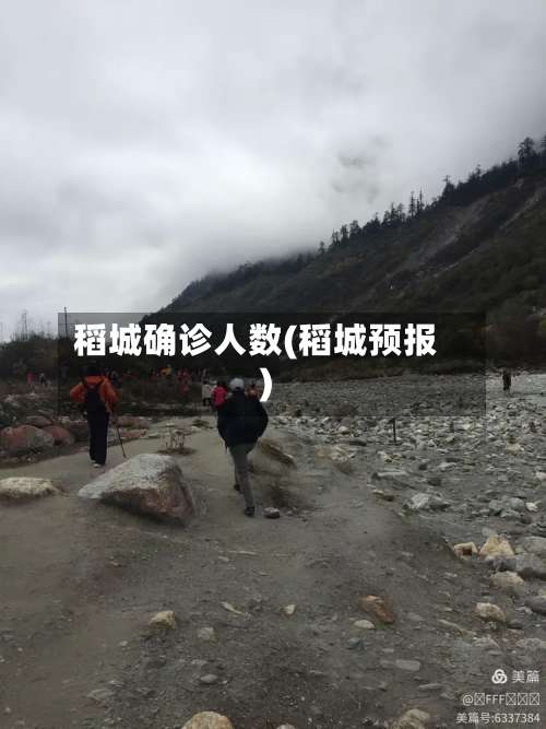 稻城确诊人数(稻城预报)-第2张图片