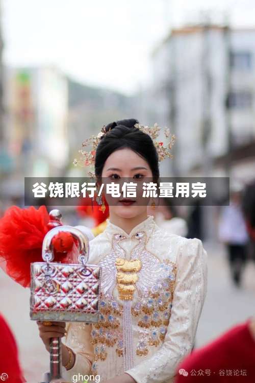 谷饶限行/电信 流量用完