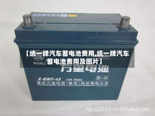 【统一牌汽车蓄电池费用,统一牌汽车蓄电池费用及图片】-第2张图片