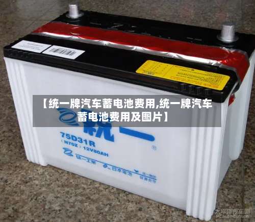 【统一牌汽车蓄电池费用,统一牌汽车蓄电池费用及图片】-第3张图片