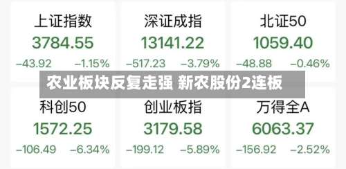 农业板块反复走强 新农股份2连板-第1张图片