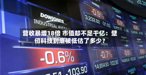 营收暴增18倍 市值却不足千亿：壁仞科技到底被低估了多少？-第2张图片