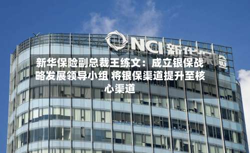 新华保险副总裁王练文:成立银保战略发展领导小组 将银保渠道提升至核心渠道-第2张图片