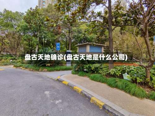 盘古天地确诊(盘古天地是什么公司)