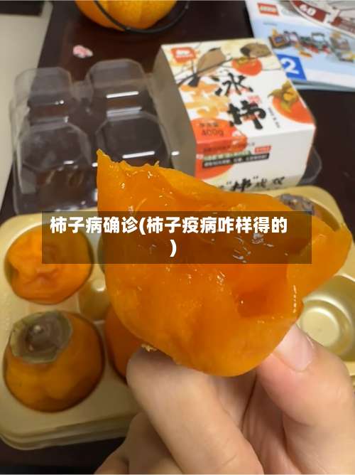 柿子病确诊(柿子疫病咋样得的)-第3张图片