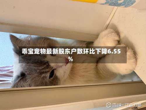 乖宝宠物最新股东户数环比下降6.55%-第2张图片