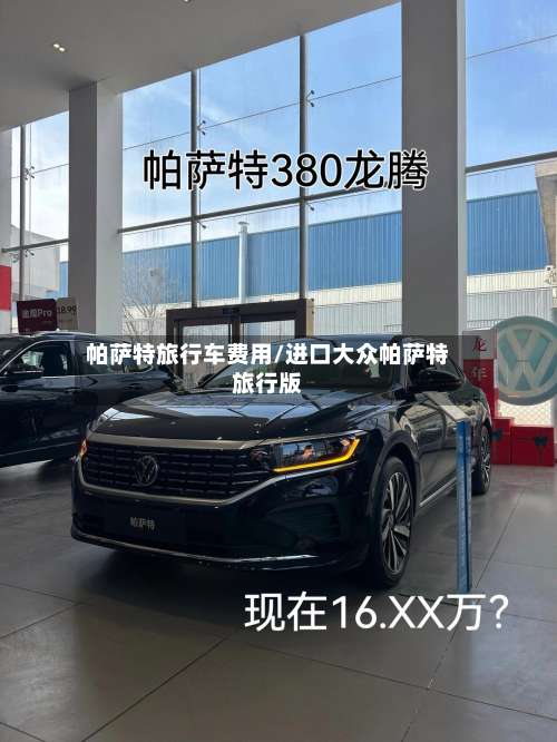 帕萨特旅行车费用/进口大众帕萨特旅行版-第2张图片