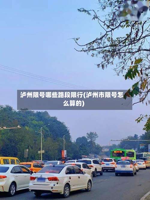泸州限号哪些路段限行(泸州市限号怎么算的)-第2张图片