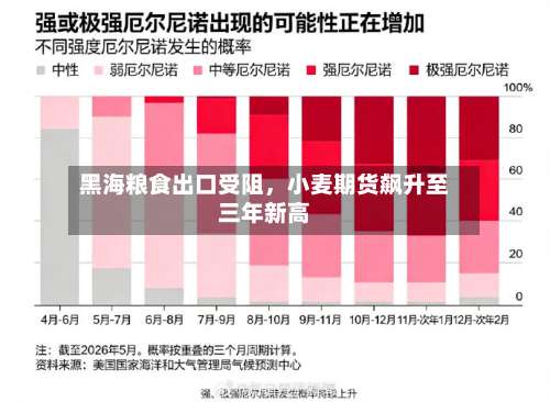 黑海粮食出口受阻，小麦期货飙升至三年新高-第1张图片