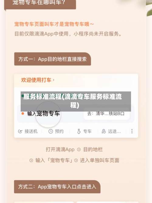 服务标准流程(滴滴专车服务标准流程)