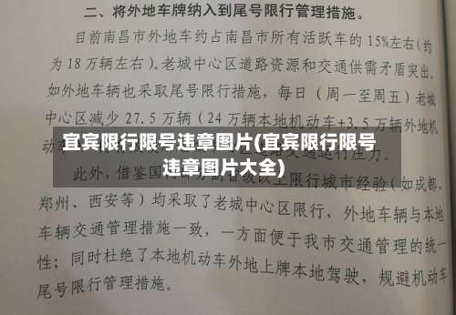 宜宾限行限号违章图片(宜宾限行限号违章图片大全)-第3张图片