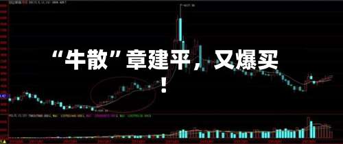 “牛散	”章建平，又爆买！-第2张图片