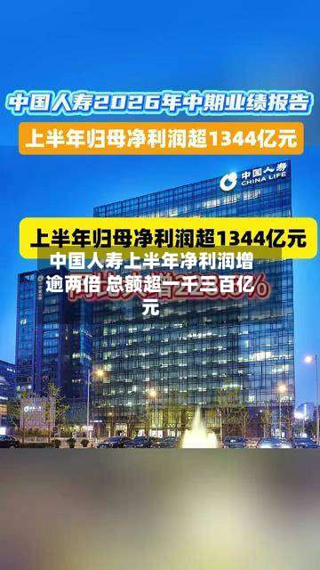中国人寿上半年净利润增逾两倍 总额超一千三百亿元-第2张图片