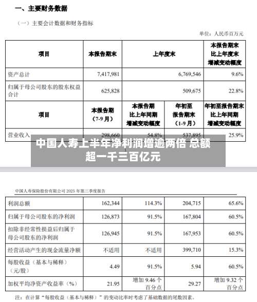 中国人寿上半年净利润增逾两倍 总额超一千三百亿元