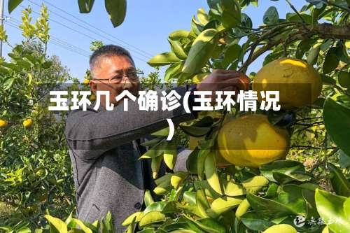 玉环几个确诊(玉环情况)