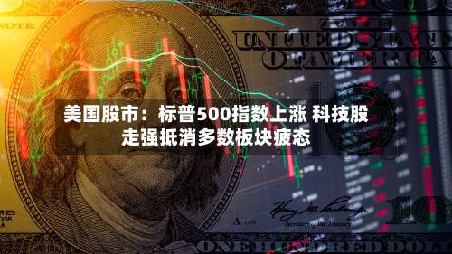 美国股市：标普500指数上涨 科技股走强抵消多数板块疲态-第2张图片