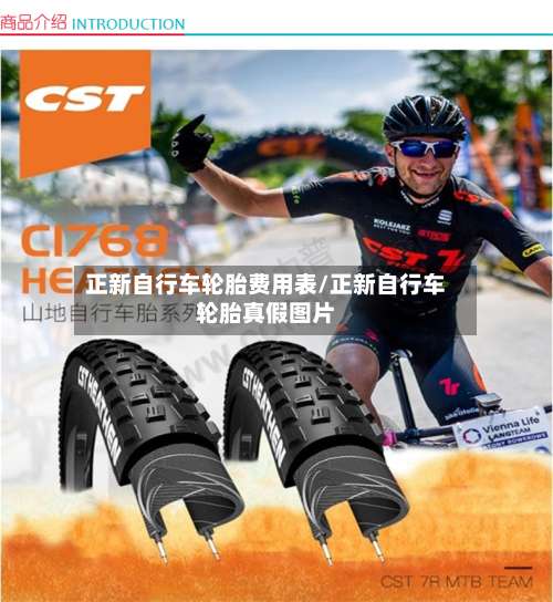 正新自行车轮胎费用表/正新自行车轮胎真假图片-第2张图片