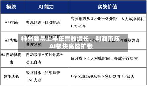 神州泰岳上半年营收增长、利润承压 AI板块高速扩张-第3张图片