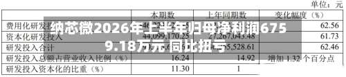 纳芯微2026年上半年归母净利润6759.18万元 同比扭亏-第2张图片