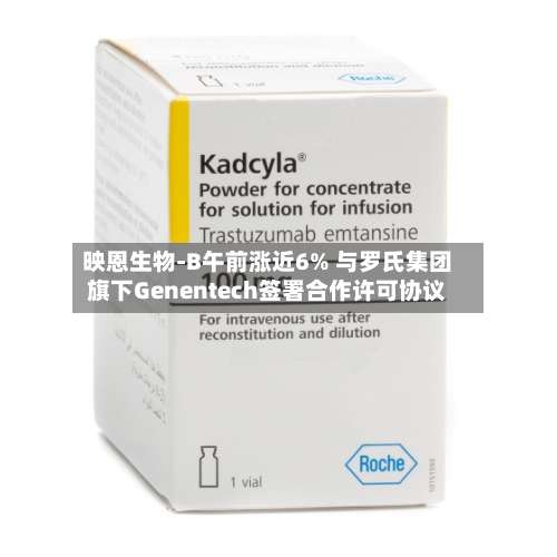 映恩生物-B午前涨近6% 与罗氏集团旗下Genentech签署合作许可协议-第2张图片