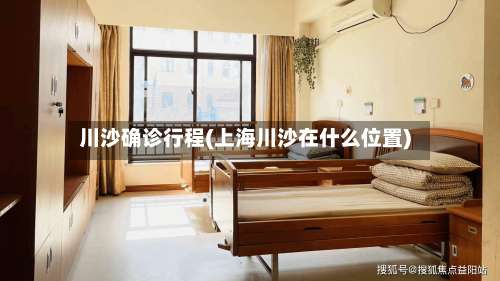 川沙确诊行程(上海川沙在什么位置)