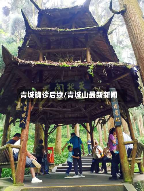 青城确诊后续/青城山最新新闻-第3张图片