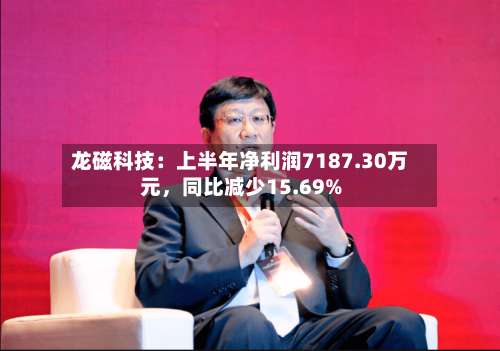 龙磁科技：上半年净利润7187.30万元	，同比减少15.69%-第2张图片