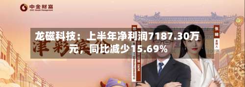 龙磁科技：上半年净利润7187.30万元，同比减少15.69%-第3张图片
