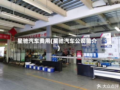星驰汽车费用(星驰汽车公司简介)