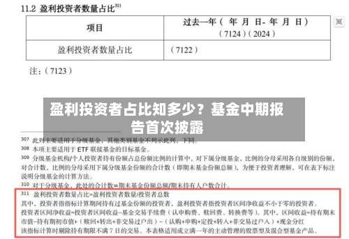 盈利投资者占比知多少?基金中期报告首次披露-第2张图片
