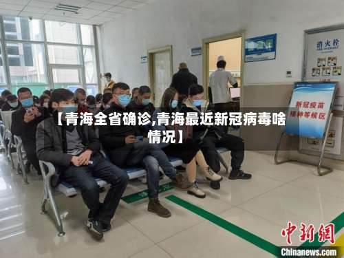 【青海全省确诊,青海最近新冠病毒啥情况】-第3张图片