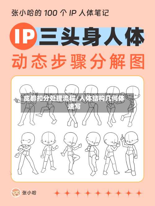 成都扣分处理流程/人体结构几何体速写