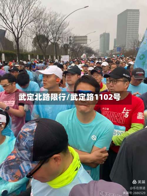武定北路限行/武定路1102号