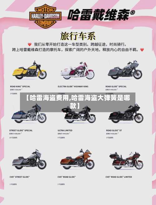 【哈雷海盗费用,哈雷海盗大弹簧是哪款】